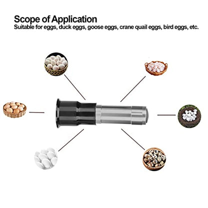 SUNGOOYUE Egg Candler Tester, Metal and Plastic LED Cool Light Egg Tester, Detachable Cone Spot Light, Battery Powered for Quail Duck Goose Chicken Eggs, Incubator Use (Silver) - color: Silver