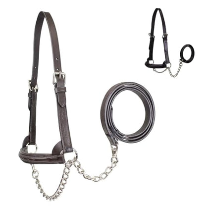 Derby Originals Premium Raised Padded Fancy Stitch Leather Cattle Show Halter with Matching Chain Lead - color: Black, size: Small (350-700lbs)