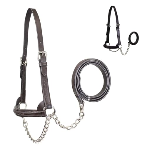 Derby Originals Premium Raised Padded Fancy Stitch Leather Cattle Show Halter with Matching Chain Lead - color: Black, size: Small (350-700lbs)