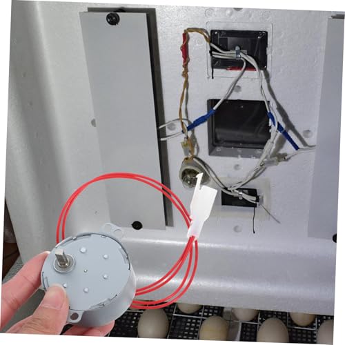 Toddmomy Convenient Egg Incubator Motor Practical Motor Part Energy-efficient for Quail and Chicken Eggs Incubation
