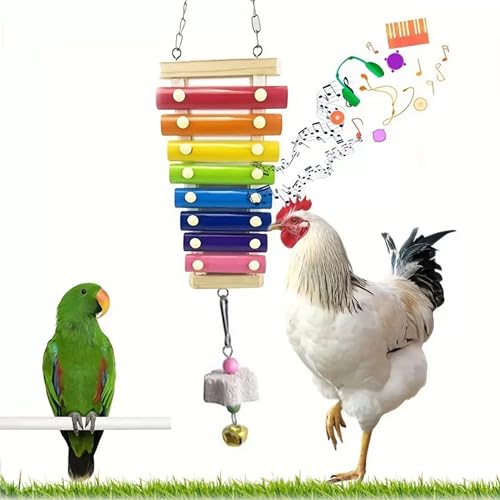 Chicken Toys for Coop Accessories，Chicken Chewing Toy Hanging Feeder Chicken Xylophone Mirror Vegetable Fruits Skewer for Hens Chick Bird Parrot（B）