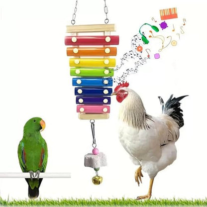 Chicken Toys for Coop Accessories，Chicken Chewing Toy Hanging Feeder Chicken Xylophone Mirror Vegetable Fruits Skewer for Hens Chick Bird Parrot（B）