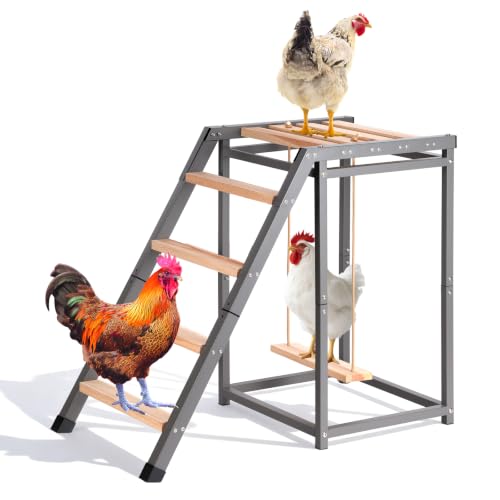 Chicken Coop Perch with Swing & Ladder for 6 to 10 Chickens