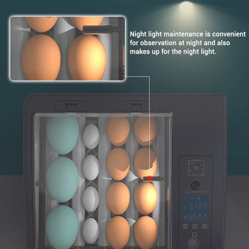 Egg Incubators for Hatching Eggs, Chicken Incubator for Eggs with Automatic Egg Turning and Humidity Control, for Hatching Chickens, Quails, Ducks, Geese，Parrots