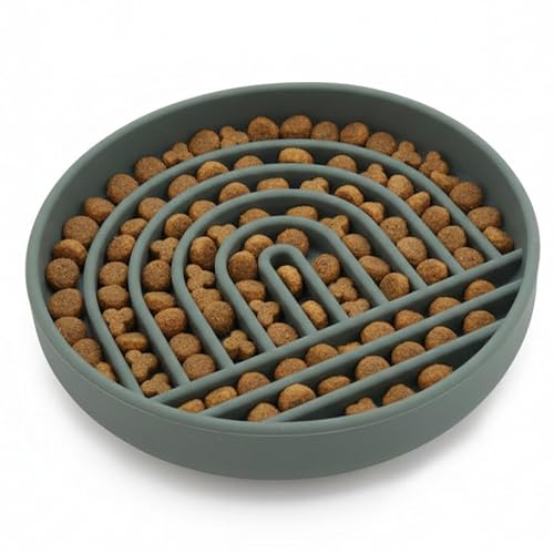 Should We Go? Slow Feeder Dog Bowls - Small Size Silicone Slow Eating Dog Bowl for Puppies & Dogs with Suction Cup -Dishwasher-Safe, Lick Mat Design, Reduces Gulping, for All Breeds, 6”x1.25”- Spruce - color: Spruce, size: Small (6” Across x 1.25” Tall)