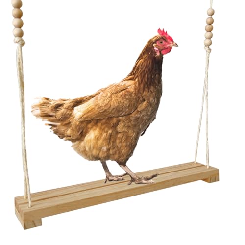 Chicken Swing Toy, Wooden Hen Swing Hanging Chicken Perch Ladder Swing Wood Stand Decorative Chicken Coop Accessories Toys Supplies for Rooster Chicken Owners & Lovers