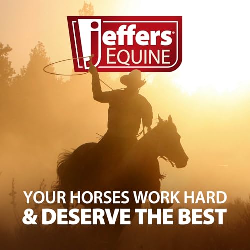 Jeffers Expression Top Loading Hay Bag for Horses & Livestock – Durable 600 Denier Hanging Hay Feeder, Water Resistant with Mesh Bottom, Easy Hanging Snap for Stall, Trailer, Travel - Bloomin Toolin - color: Bloomin' Toolin'