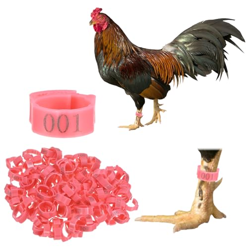 M METERXITY 100-Pack Adjustable Chickens Leg Bands, 17-22 mm Plastic Poultry Identification Chicken Leg Rings for Turkey/Duck/Goose/Chicks, Colorful Numbered Foot Clip on Tags [Pink] - color: Pink