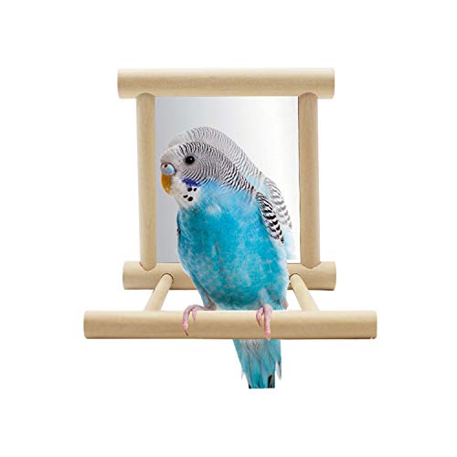 Hypeety Bird Parrot Mirror Toy Swing Hanging with Perch for Parrot Parakeet Budgies Cockatiel Conure Finch Lovebird (D) - color: Wooden Mirror with Perch