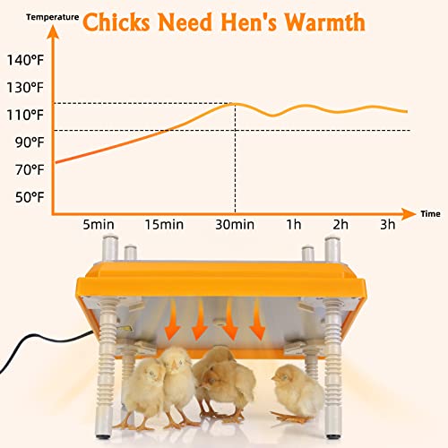 Brooder Heater for Chicks Height Adjustable: Heating Plate with Easy- Cleaning Plate Poultry Coop Warmer 10" x 10" for 15 Chicks - color: Orange-10x10
