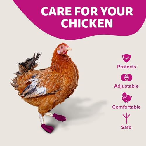 Chicken Shoes for Injured Feet – Protective Neoprene Footwear for Chicken, Open-Toe Design for Bumblefoot Relief, Made in USA (Chicken Shoes, Pink, Medium Chickens) - color: Pink