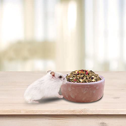kathson 2 Pcs Hamster Food Bowl Guinea Pig Ceramic Water Bowl Small Animal Feeding Dish for Dwarf Hamster Gerbil Syrian Ferret Hedgehog Chinchilla Bunny (Pink)… - color: Pink