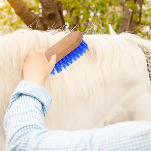 Gadpiparty Stiff Bristle Grooming Brush and Shedding Comb, 15.5 X 5.5 Inches, Blue, Livestock Cleaning Supply for Equine and Cattle Stable Care