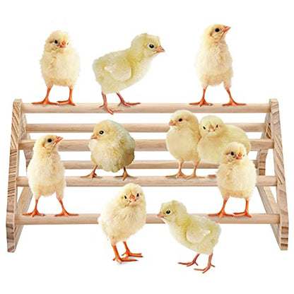 Wooden Chick Perch Stand, Pine Chicks Roosting Bar, Jungle Gym Perch Toys for Chicken Coop & Brooder, Bird Perch for Baby Chicks & Parrots (Large) - color: Large