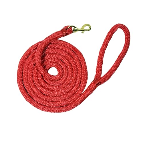 Double Nylon Horse Lead Ropes – 10FT / 15FT Durable Lightweight Lead Ropes for Horses with Snap Hook (Red, 10FT) - color: Red, size: 10FT
