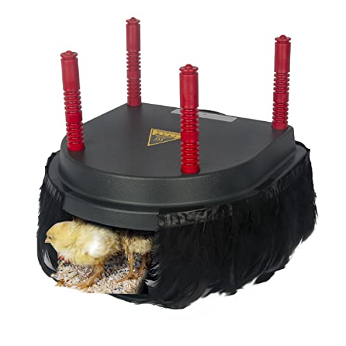 Chick Brooder Heating Plate with Comfort Feathers, Chicken Coop Warmer Pad Adjustable Height Poultry Incubator Heater Plate, Warms Up to 15 Chicks - 13 Watts (10" x 10")