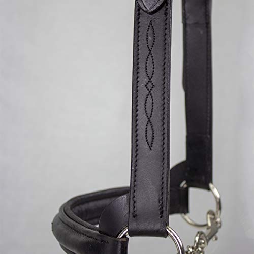 Derby Originals Premium Raised Padded Fancy Stitch Leather Cattle Show Halter with Matching Chain Lead - color: Havana, size: Small (350-700lbs)