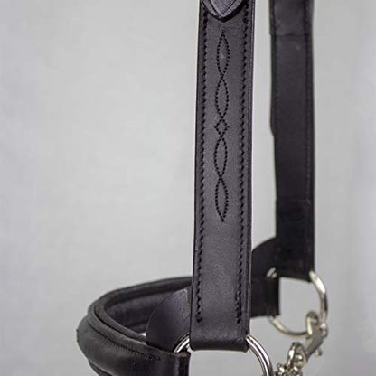 Derby Originals Premium Raised Padded Fancy Stitch Leather Cattle Show Halter with Matching Chain Lead - color: Black, size: Large (950lbs-1500lbs)