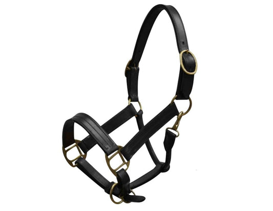 Yearling Leather Halter w/Brass Hardware - color: Black
