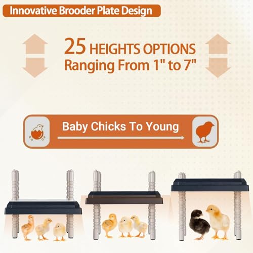 Chick Brooder Heating Plate, 10" x 10" Chick Incubator Heating Lamp, Adjustable Angle and Height Chick Brooder, Safe Incubators With Easy Clean Plate for Chicks/Ducks Thermostat for 15 Chicks (Black)