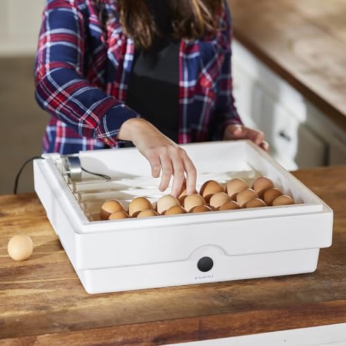 Farm Innovators 3200 Automatic 41 Spot Egg Turner for The Bottom of Incubators to Eliminate Manual Handling and Improve Hatching Rate, White (4 Pack) - size: 4 Pack