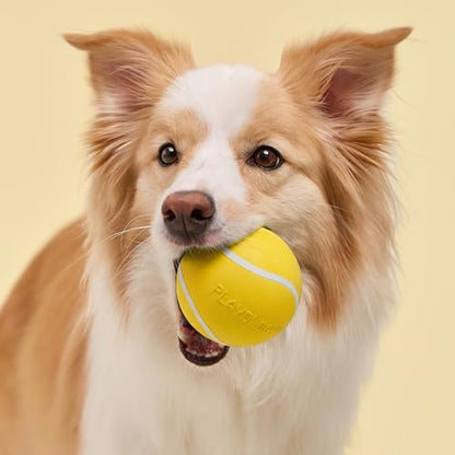 Playology Dog Toys | Squeaky Chew Ball for Large Dogs | Chicken Scented Jumbo Dog Ball | Bouncy Floating Chew Toys for Fetch - size: Jumbo, style: Chicken