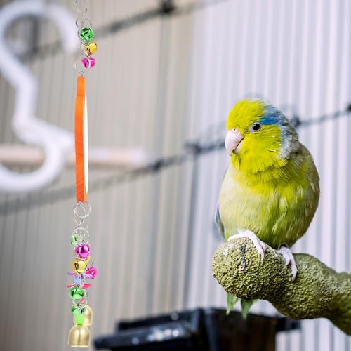 Hanging Chicken Mirror with Bells for Pet Cage Sturdy Beak Grinding Swing Plaything for Birds and Chickens Interactive Farm and Garden Accessory