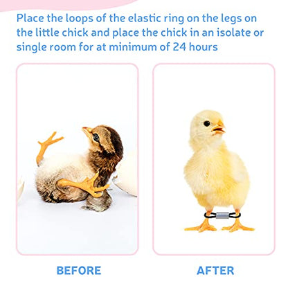 Patelai 50 Sets Baby Chick Leg Bands Splay Hobbles Brace Adjustable Poultry Leg Bands for Newborn Chick Bird Ducks of 1 to 3 Days Newly Hatched