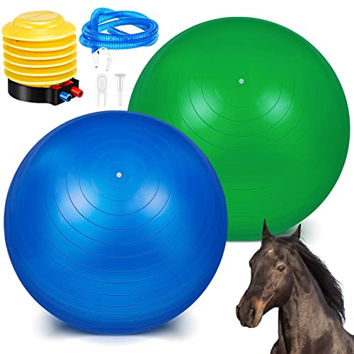 Sotiff 2 Pcs 40 Inch Horse Ball for Play Large Horse Big Equine Herding Anti Burst Dog Ball Soccer Giant, Pump Included(40 Inch,Green, Blue) - color: Green, Blue