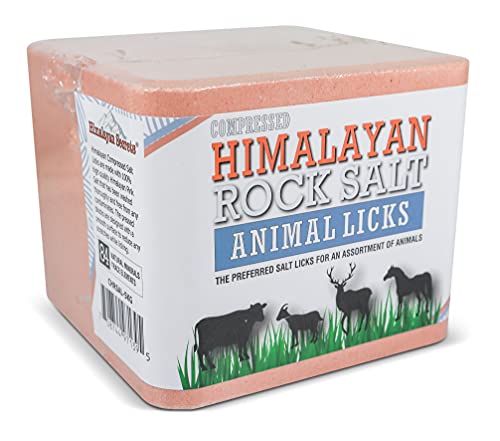 Salt Block for Deer & Horses – Compressed Mineral Salt Lick for Livestock, Cattle & Goats – Himalayan Secrets Pink Rock Salt Block (11LB/5KG, Block w/ Mounting Hole) - size: 11 Pound (Pack of 1)