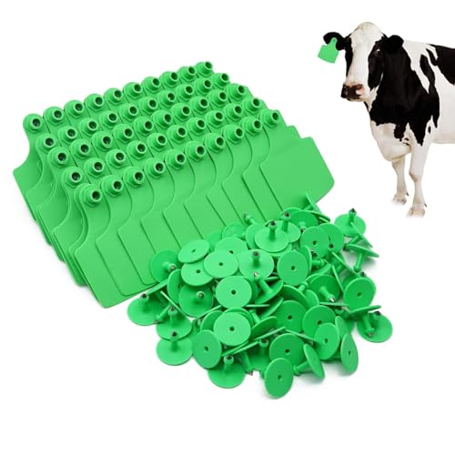 4.1” L×3.5”W Livestock Ear Tags Big Blank 100PCS Identification TPU Precision Tags for Cattle Cows Pigs Hog Goats Sheep Calf Animal (Green) - color: 6-green