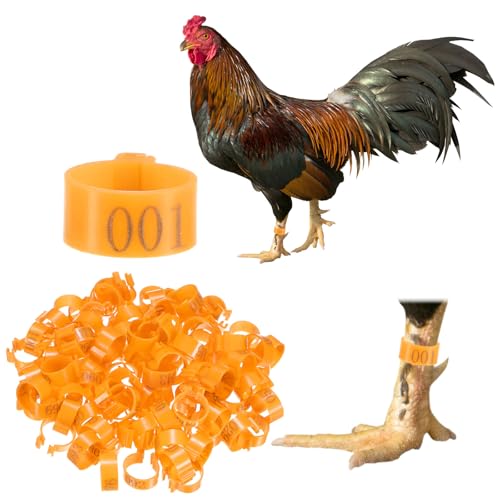 M METERXITY 100-Pack Chicken Leg Bands, 16 mm Plastic Poultry Identification Chicken Leg Rings for Turkey/Duck/Goose/Chicks, Colorful Numbered Foot Clip on Tags [Orange] - color: Orange, size: 2 x 2.1 x 1 cm / 0.79 x 0.83 x 0.4 in(L x W x H)