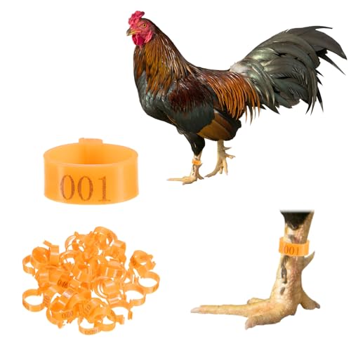 M METERXITY 50-Pack Chicken Leg Bands, 20 mm Plastic Poultry Identification Chicken Leg Rings for Turkey/Duck/Goose/Chicks, Colorful Numbered Foot Clip on Tags [Orange] - color: Orange, size: 20 mm