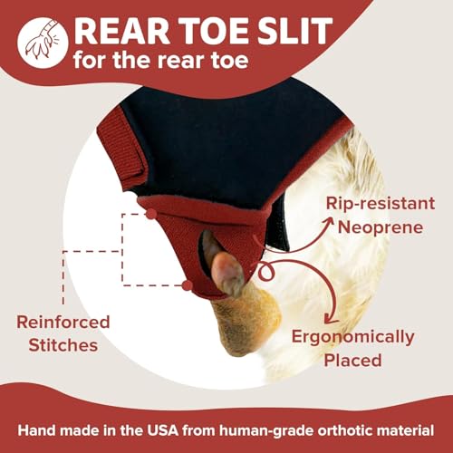 Chicken Shoes for Injured Feet – Protective Neoprene Footwear for Chicken, Open-Toe Design for Bumblefoot Relief, Made in USA (Chicken Shoes, Red, Medium Chickens) - color: Red