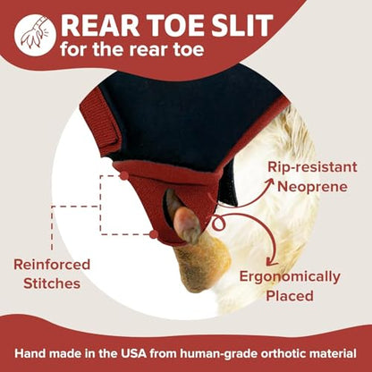 Chicken Shoes for Injured Feet – Protective Neoprene Footwear for Chicken, Open-Toe Design for Bumblefoot Relief, Made in USA (Chicken Shoes, Red, Medium Chickens) - color: Red