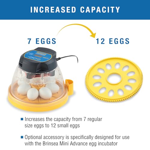 Brinsea Small Egg Insert Optional Accessory for Mini Advance Incubator System, Fits 12 Pheasant or Quail Size Eggs - size: Fits 12 Eggs, style: Mini Advance