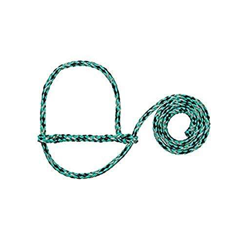 Weaver Leather Poly Rope Sheep Halter Bundle (Mint/Black/Gray and Blue/Mint/Gray)