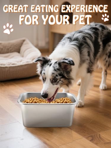 2 Gallons Large Dog Bowls - Durable Food Grade Stainless Steel Dog Water and Food Bowl No Spilling, High Capacity for Medium Large Breed Dogs Indoor Outdoor - size: 2 Gal