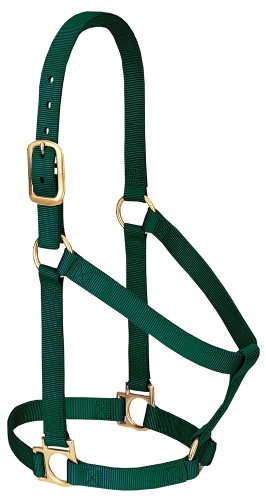 Weaver Leather Basic Non-Adjustable Nylon Horse Halter - color: Hunter Green, size: 1" Small Horse
