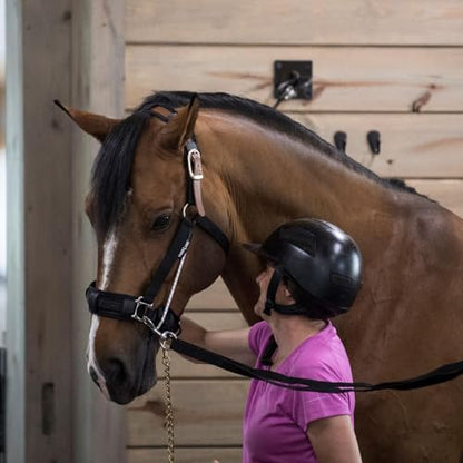 Thinline Busy Buddy - Equestrian Tack Accessories Durable Versatile Easy to Use Universal Horse Calming Pacifier Relaxation Tool with Latex Mouth Piece - style: Halter Busy Buddy