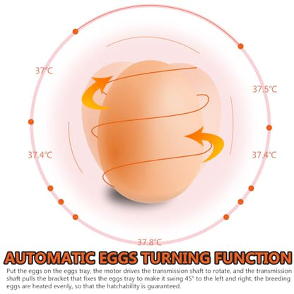 PIT66 (48 Eggs) Fully Automatic Self-energizing Incubator for Chickens, Ducks, Geese and Other Poultry &Quail, Pigeons and Other Birds