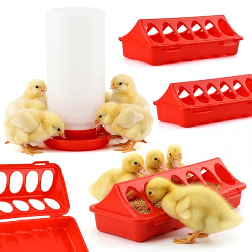 4PCS Chick Feeder and Waterer Kit,3×12-Hole Trough Feeders and 1 Low-Spill Chicks Waterer,Baby Chick Starter Kit for Small Poultry Chicks Ducks Quail Pigeons Birds