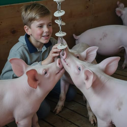 Pig Toy - Toys for Pigs - Stress and Boredom Relief - Pig Chew Toy Chain for Enhancing Behavior - Piglets Accessories - Farm and Domestic Use - Enjoyment and Fun