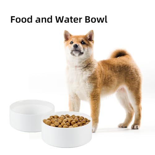 Havniva 6.1” Ceramic Dog Bowls, Dog Food and Water Bowl for Small & Medium Dogs, Durable Dog Water Bowl with Non-Slip Rubber Base Large Capacity Pet Feeding Bowl - color: Matte White, size: 6.1 Inch
