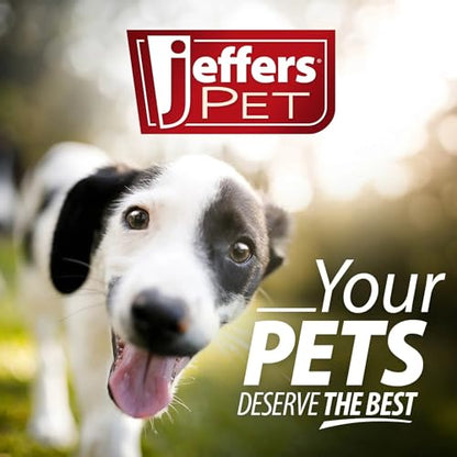 Jeffers Pet Plush Dog Toy with Squeaker, Christmas Snowman 12"- Durable & Safe for Puppies & Dogs, Holiday Stocking Stuffer, Soft Interactive Play, Fetch & Tug Pet Toy, Best Gift for Active Games - color: White Snowman