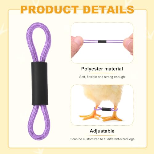 M METERXITY 100-Pack Adjustable Chick Leg Bands, 1.38" x 0.2" Polyester Chicken Leg Brace for Chicks/Ducks/Birds [Purple] Poultry Leg Bands