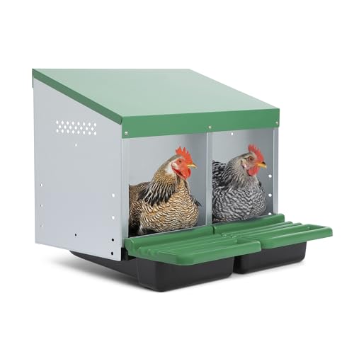 Homestead Essentials Classic Style 2 Compartment, Forward Rollout and Rollaway, Hen & Chicken Nesting Box with Integrated Perch and Protective Egg Laying Collection Lids - size: 2 Compartment