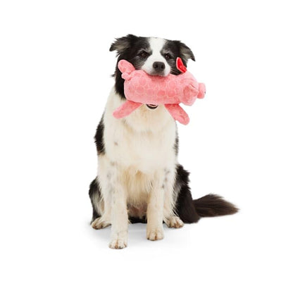 Leaps & Bounds by Petco Tough Pig Dog Toy
