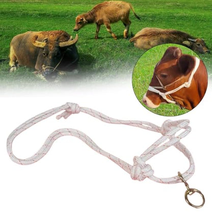 Cattle Traction Halter Bull Bridle Adjustable Cow Halter Livestock Equipment Lightweight Design with Nylon Structure for Farm Use Suitable - size: Large