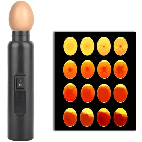 LED Light Egg Candler Tester Auto Mini Lighting Incubator for Experiment Exclusive ABS Material Black 15 x 3.5 x 3.5cm